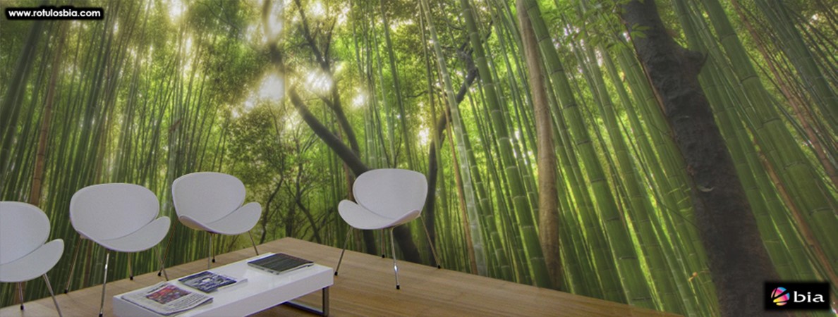 NEGOCIO_OFICINAS_hall2.jpg