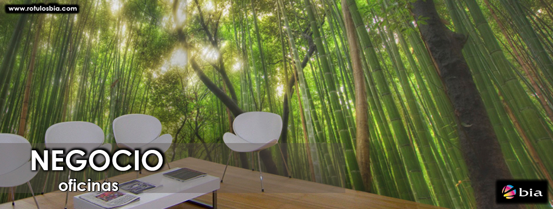 papel-decorativo-sala_espera.jpg
